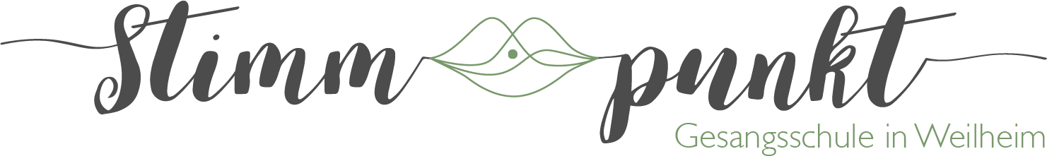 Stimmpunkt Homepage